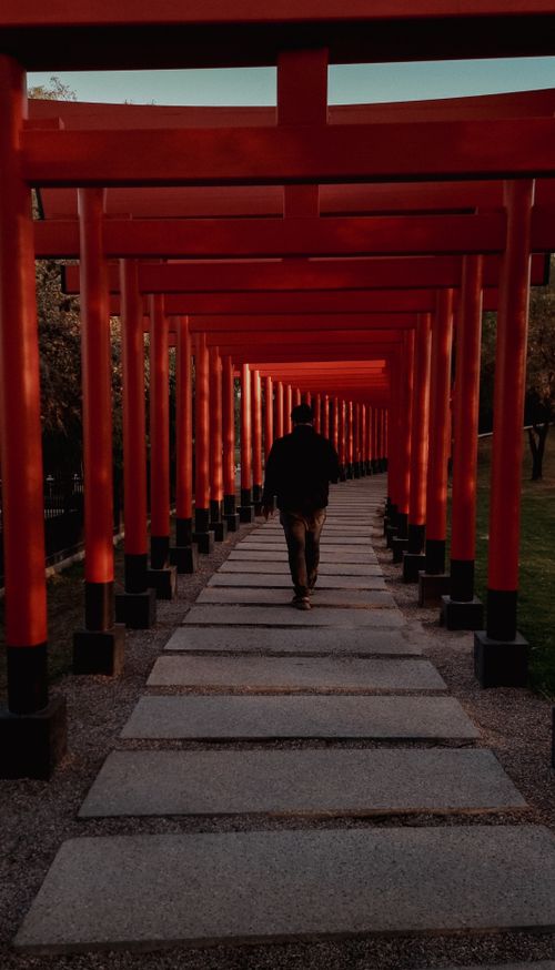 Free A man walks through a series of red Torii gates in a serene outdoor setting, capturing a moment of tranquility. Stock Photo