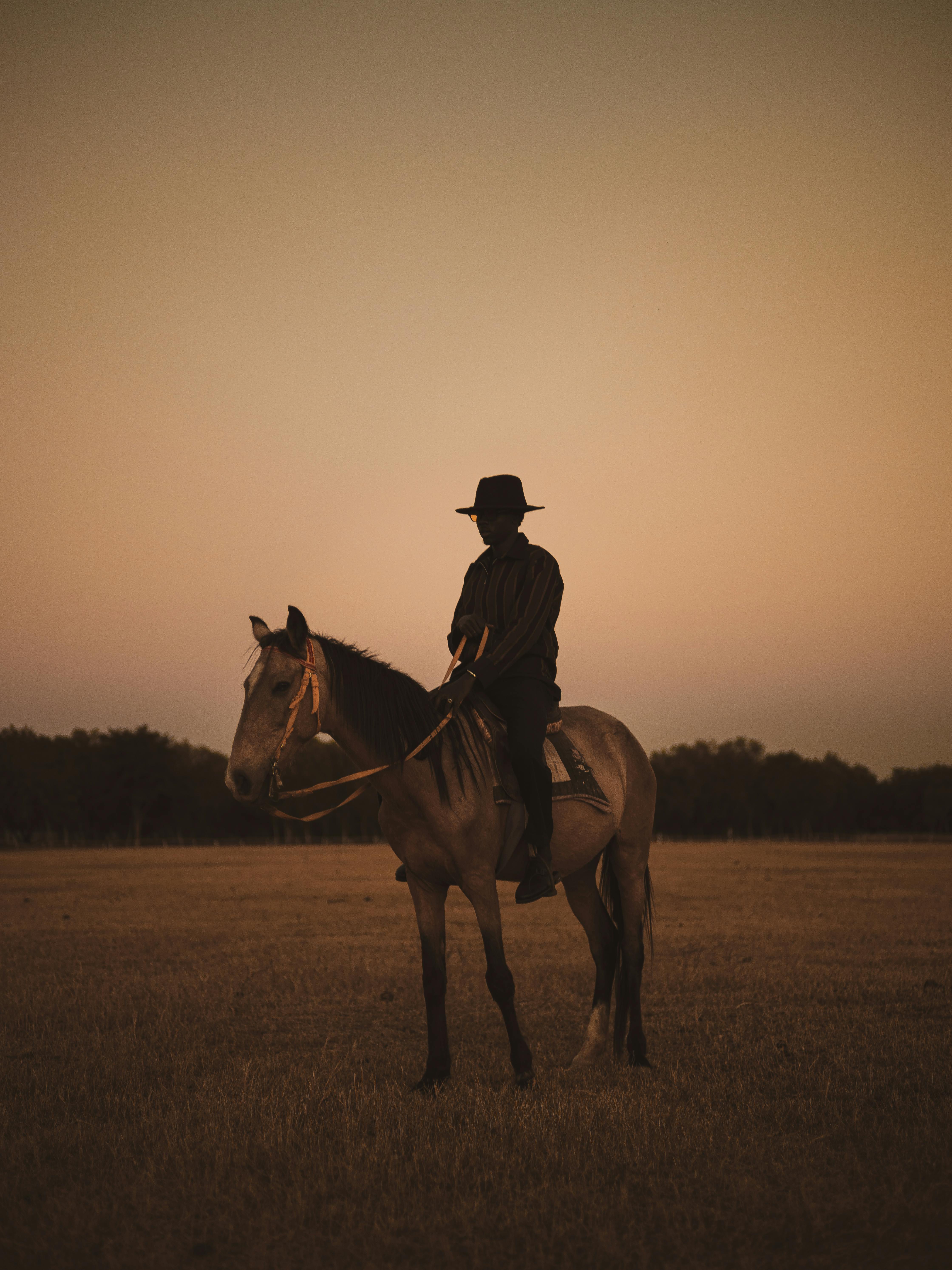 A cowboy in silhouette riding a horse at sunset in rural Nigeria. The scene depicts tranquility and African rural life.