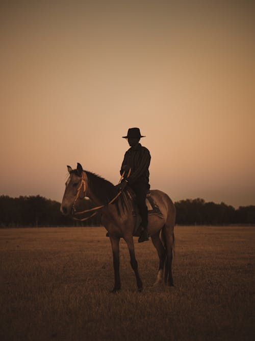 Cowboy Sitting on Horse 