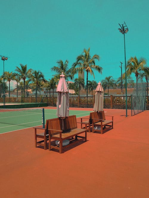 A tennis court with two benches and a palm tree