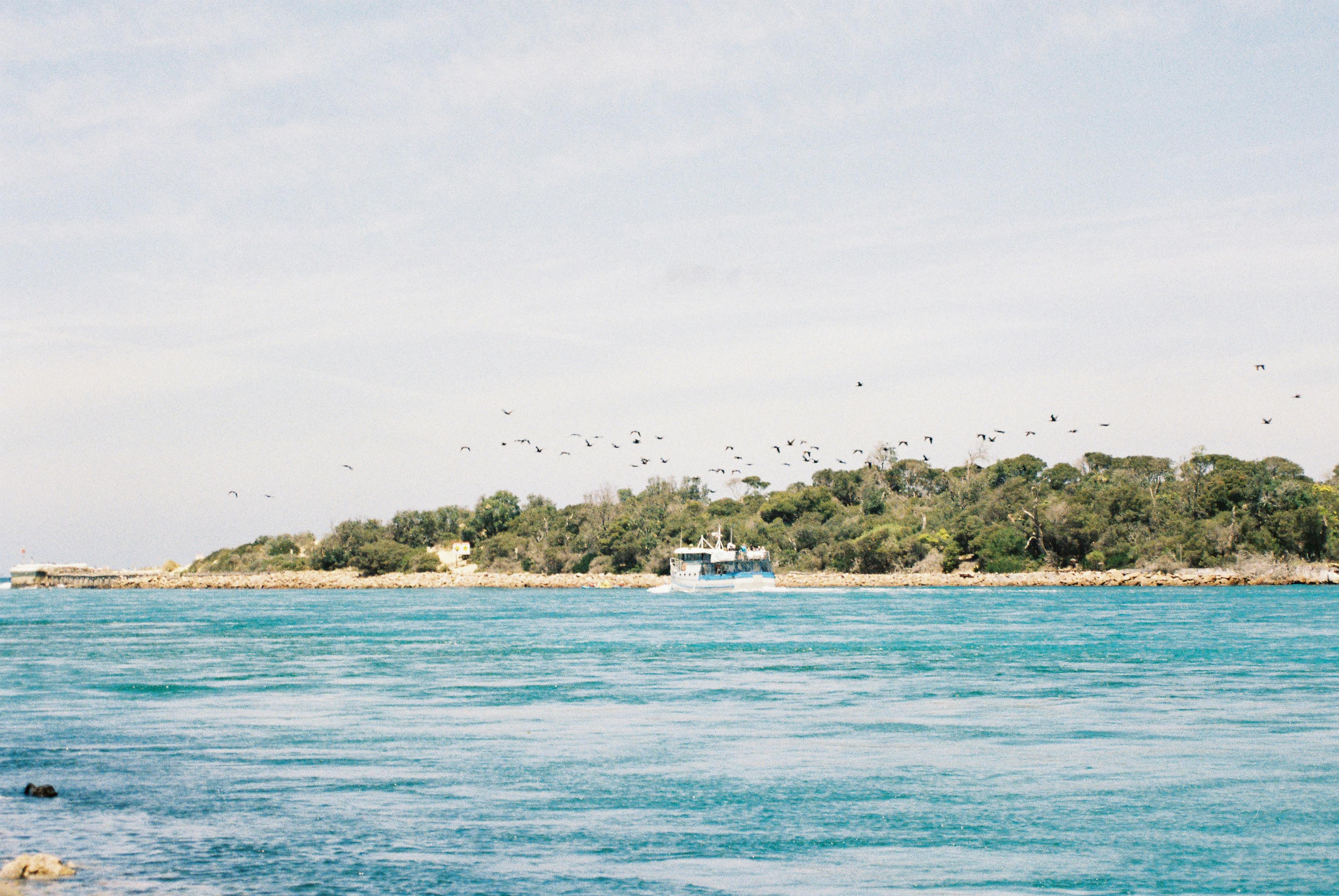 Serene coastal view of Lakes Entrance with flying birds and a boat in the distance.
