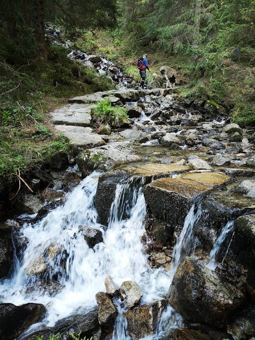 Waterfall on Stream in Forest and Person Hiking behind