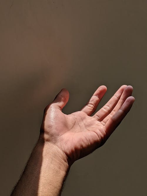 Sunlit Man Hand Palm