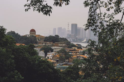 Fotos de stock gratuitas de arboles, ciudad, ciudades