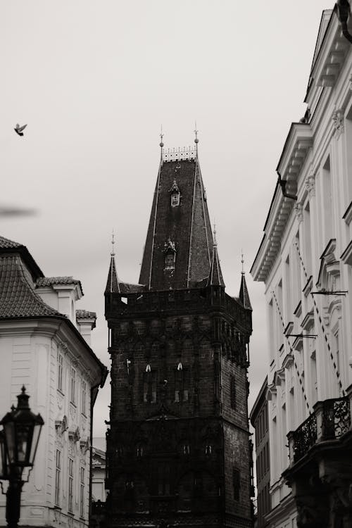 Kostenloses Stock Foto zu gebäude, gotische architektur, schwarz und weiß