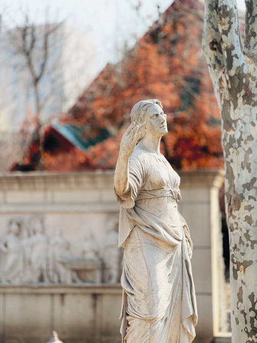 公園, 垂直拍攝, 秋季 的 免費圖庫相片