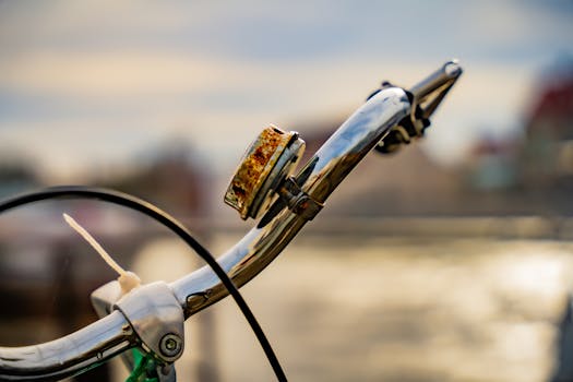 A detailed image of a rusty bicycle handlebar with a bell, captured during sunset.