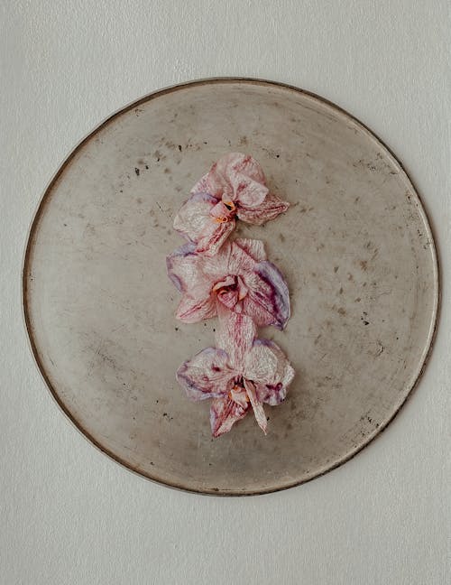 Free Top View of Dried Pink Flowers Lying on a Round Plate  Stock Photo