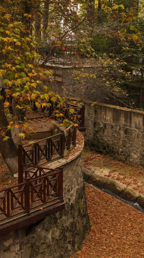 Trees around Walls in Park in Autumn