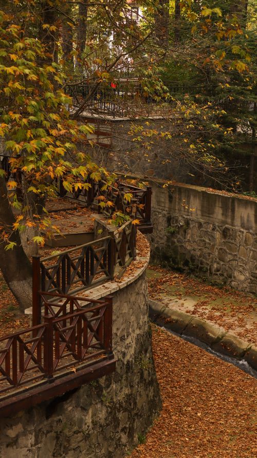 Free Beautiful autumn park scene with stone walls and a wooden railing surrounded by colorful leaves. Stock Photo