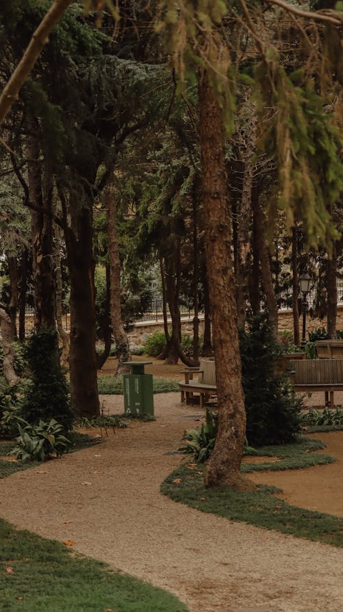 Footpath among Trees in Park