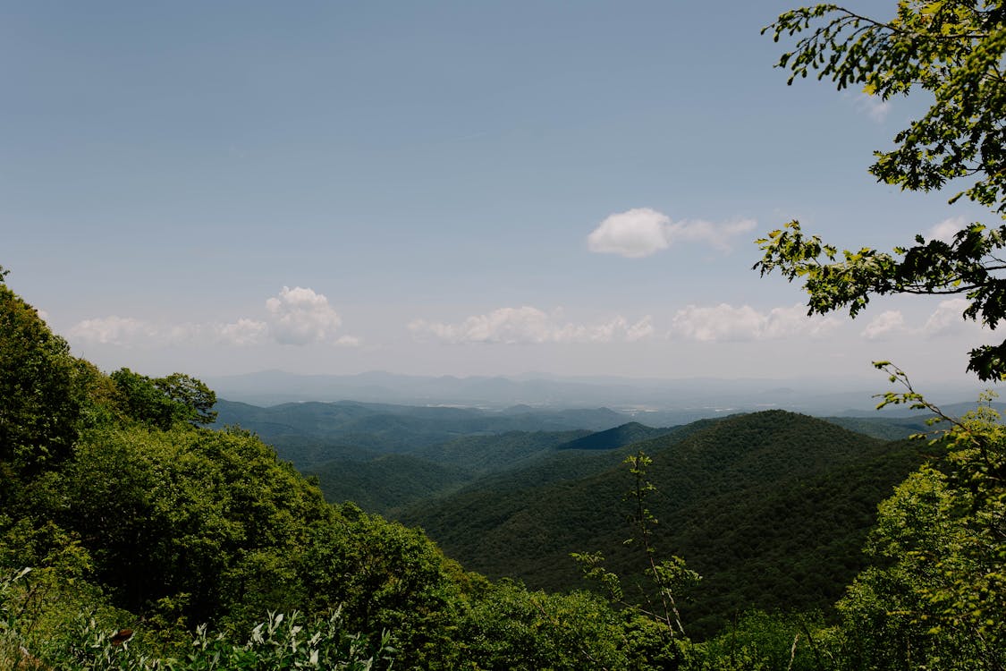 Immagine gratuita di alberi, appalachian, carolina del nord