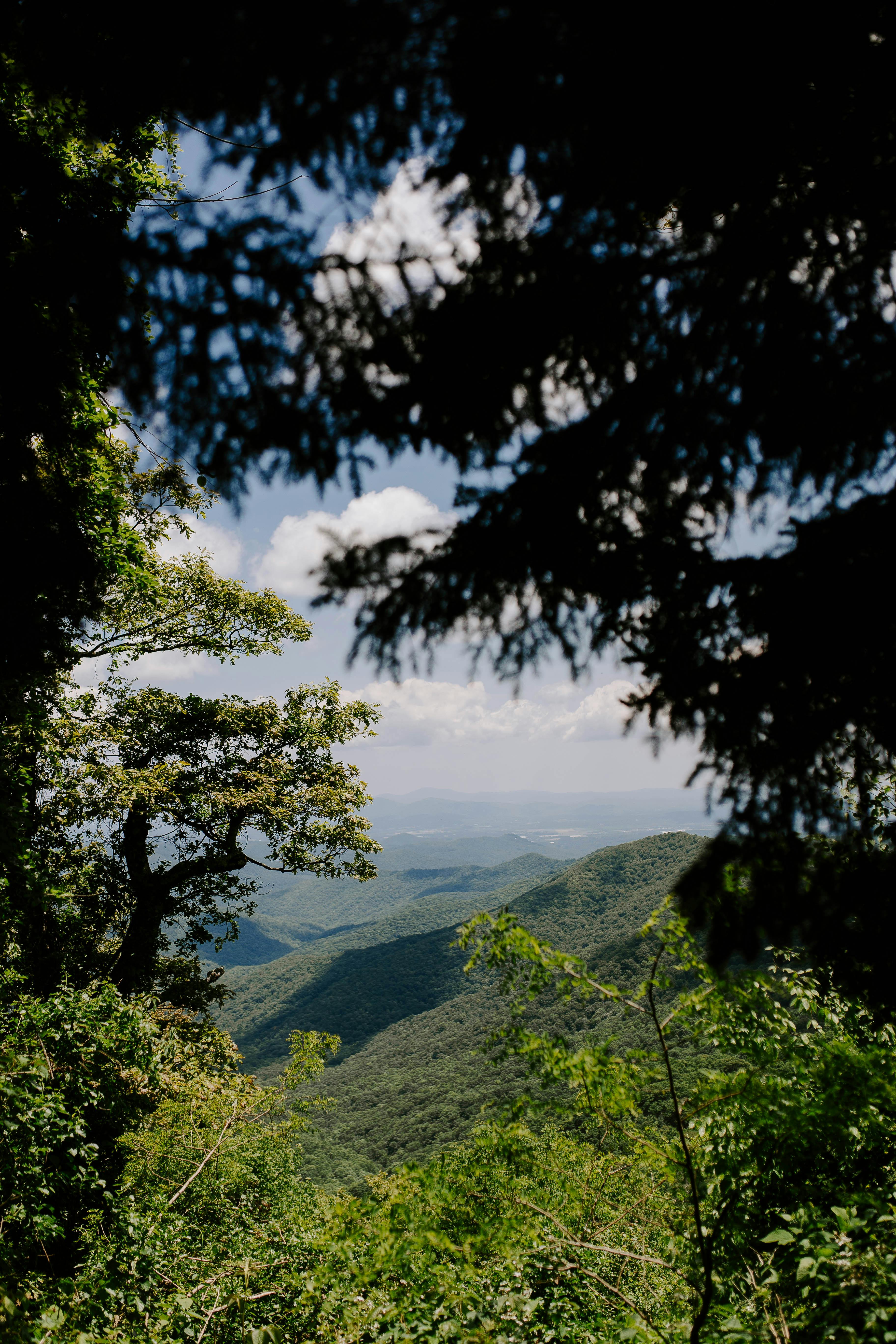 Breathtaking view of Appalachian Mountains framed by dense forest greenery, Asheville, NC.