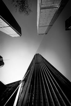 在城市环境中，引人注目的黑白摩天大楼向上延伸，展示了现代建筑的景观