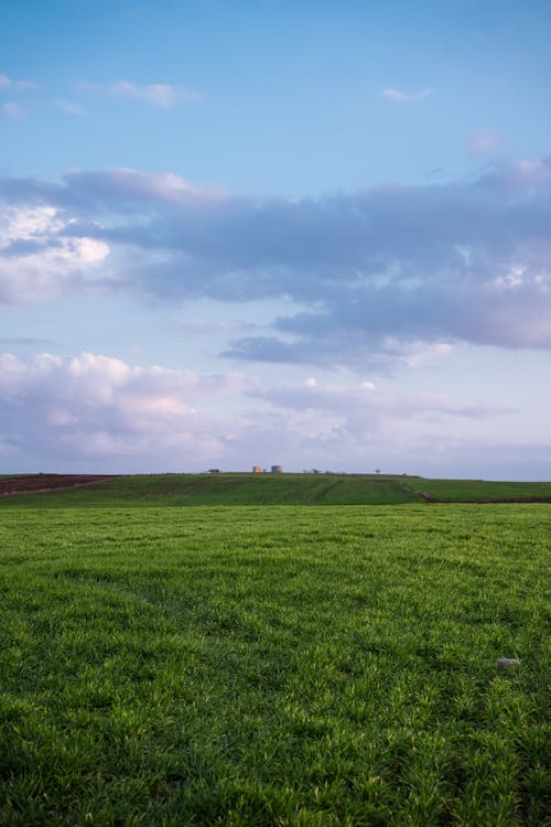 Fotos de stock gratuitas de campo, campos de cultivo, paisaje