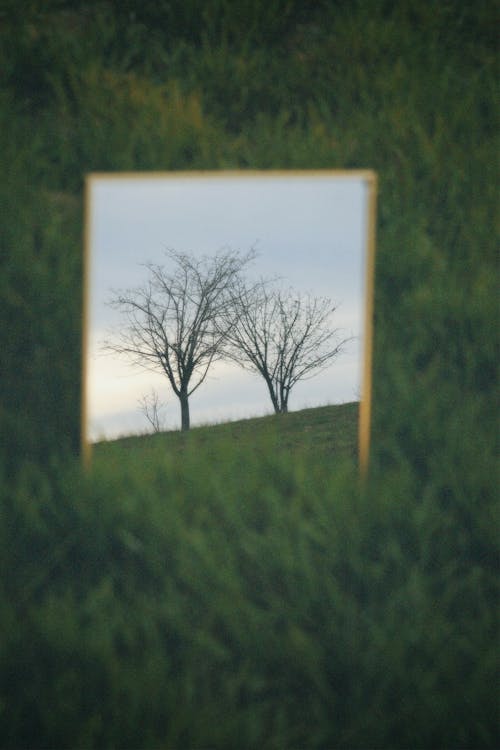 Foto stok gratis artistik, bidang, cermin
