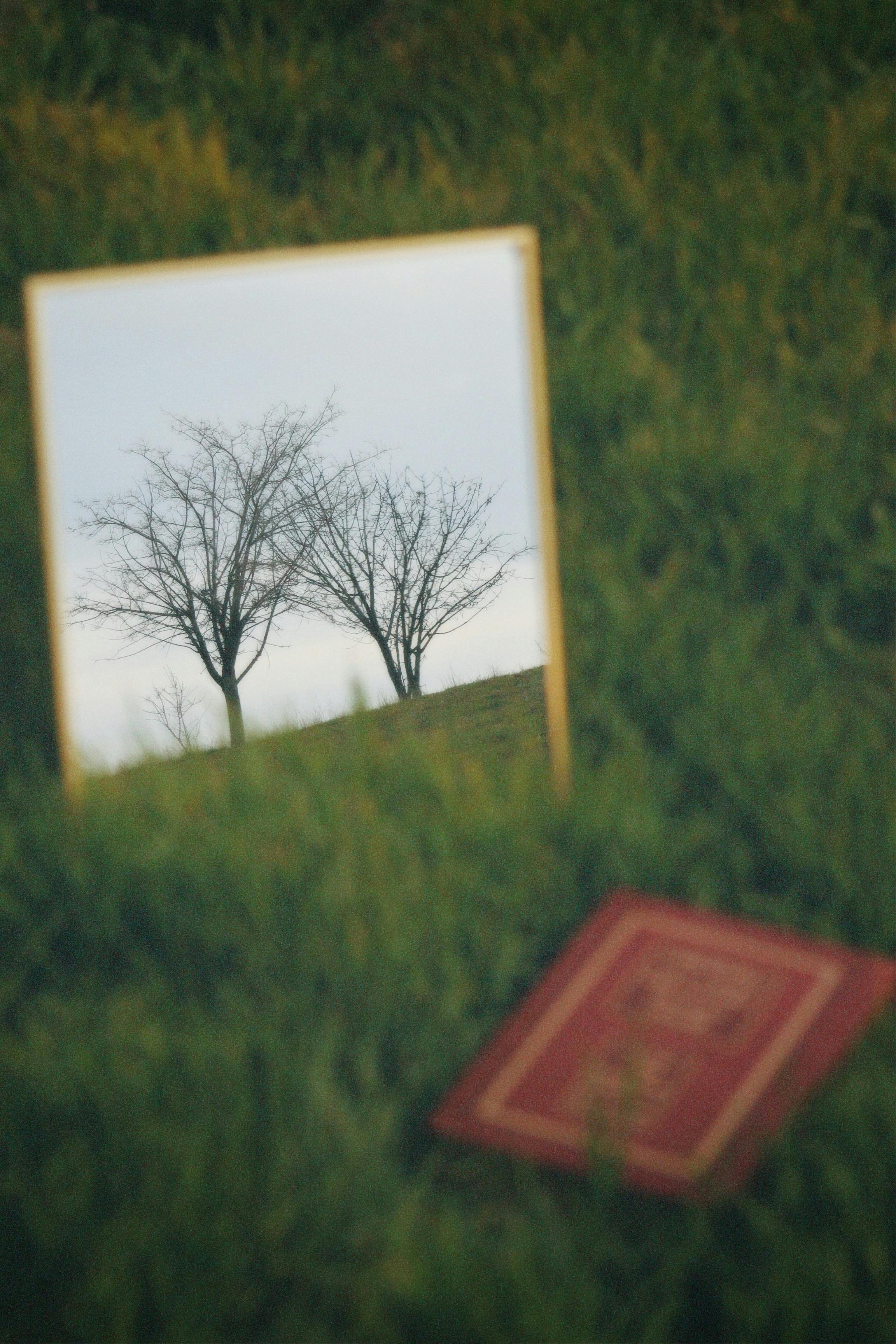 book reflection