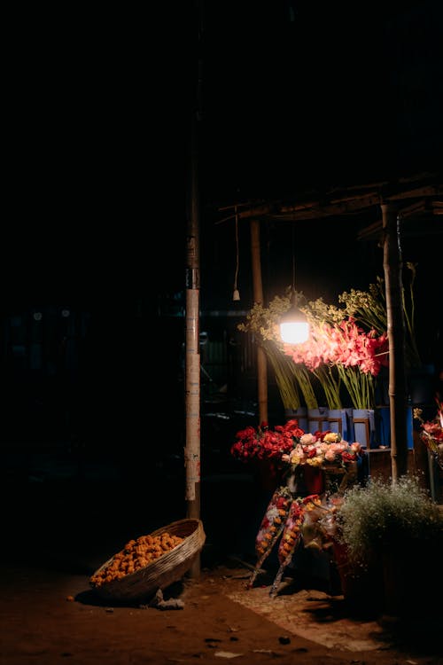 꽃, 노점, 램프의 무료 스톡 사진