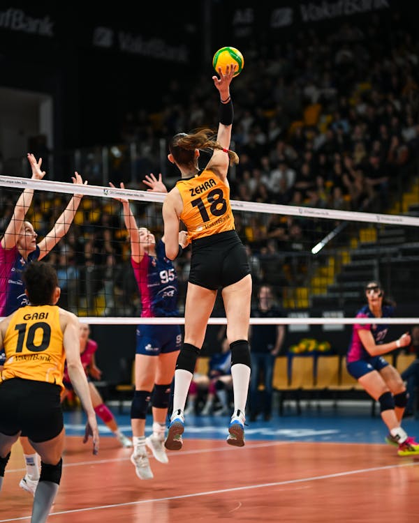 Zehra Güneş - Vakıfbank - Şampiyonlar Ligi