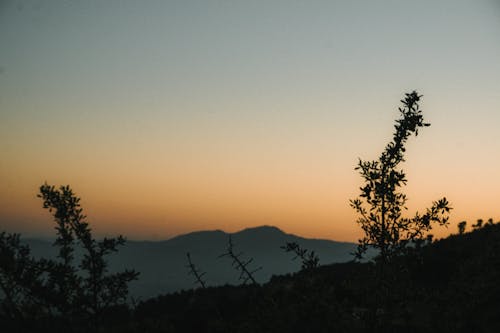 Foto profissional grátis de ascensão do sol, cenário, montanha