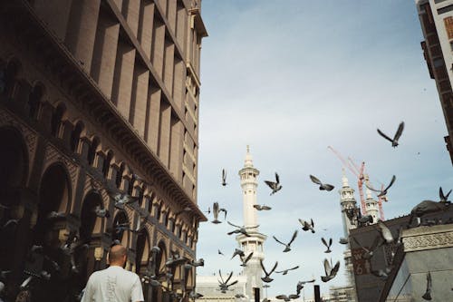 Free Minarets behind Flying Pigeons in City Stock Photo