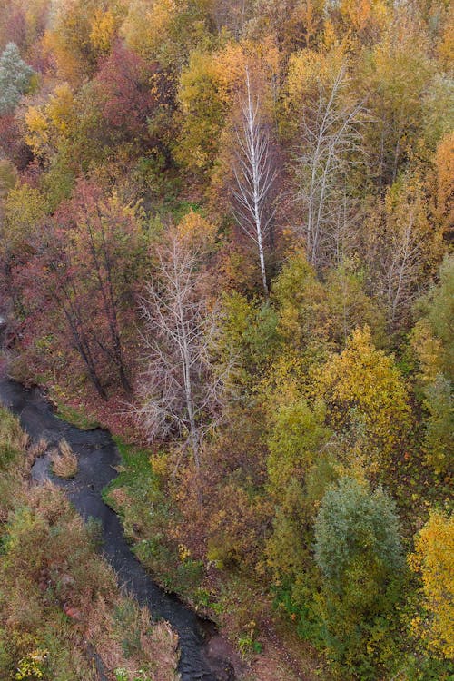 An aerial view of a river in the fall