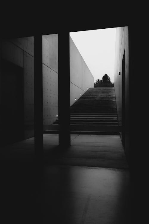 Stairs behind Columns