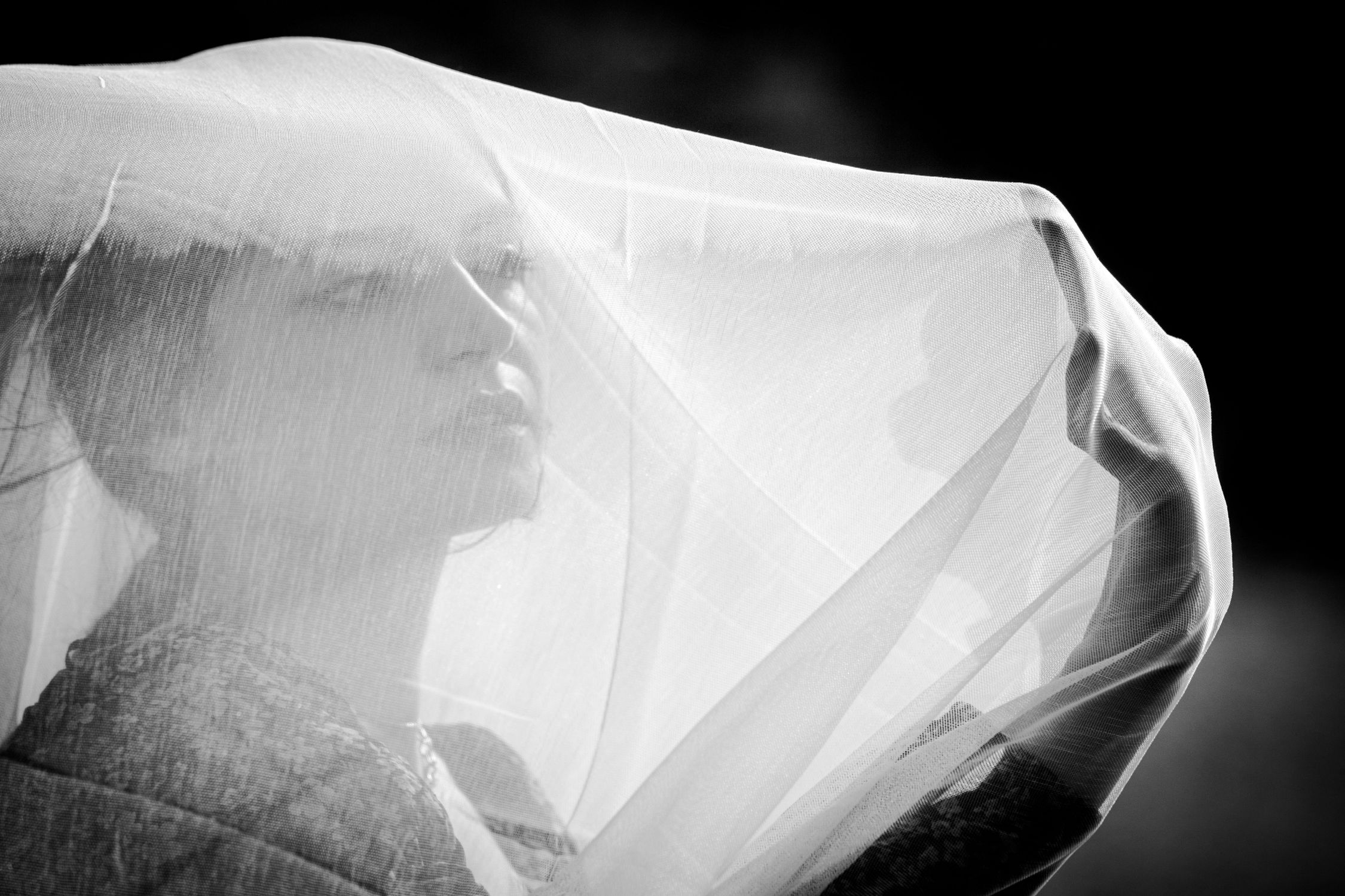 Woman under Veil in Black and White · Free Stock Photo