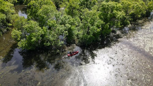 People on Boat on Lake in Forest