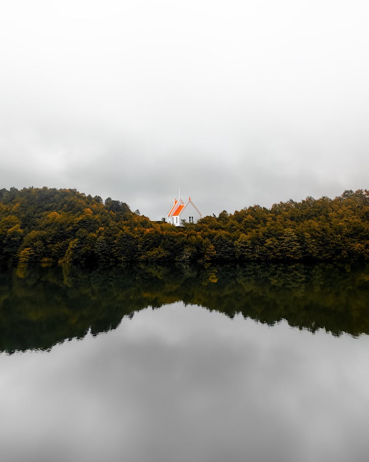 Forest Reflecting In Lake