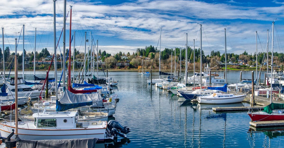 Vibrant image of a marina with yachts and motorboats moored in Olympia, WA.