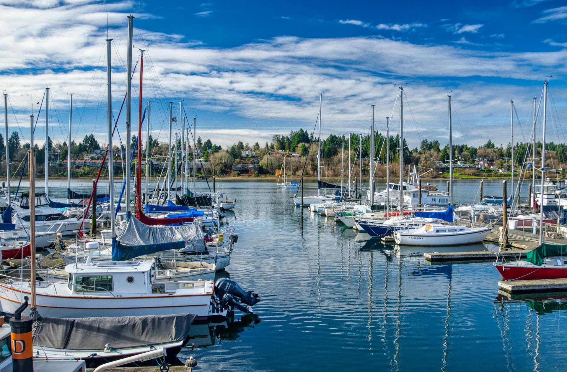 Vibrant image of a marina with yachts and motorboats moored in Olympia, WA.