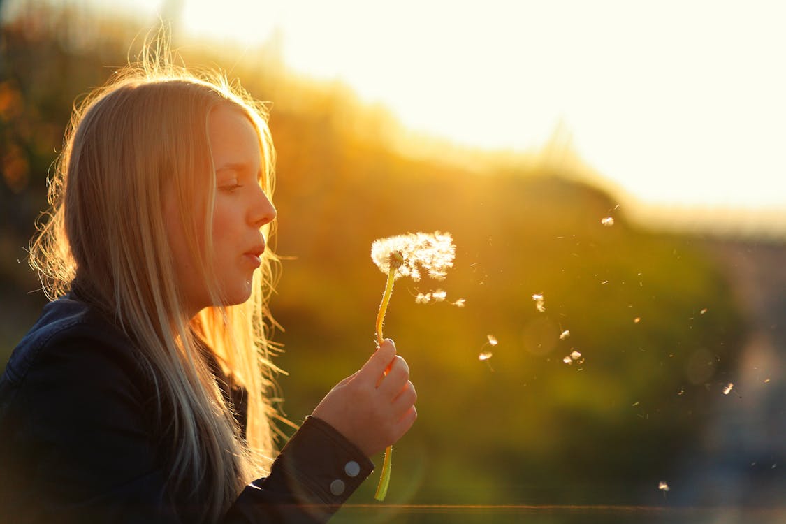 Gratis stockfoto met buiten, fel, genot