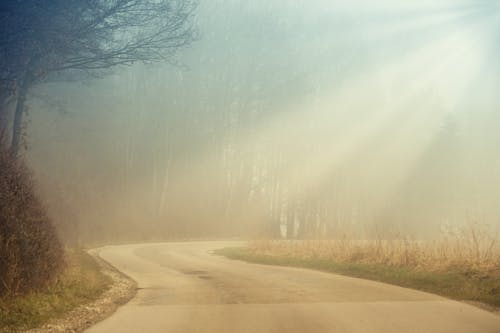 A road in the fog with a sun shining through