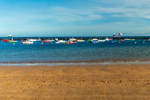 Foto profissional grátis de água, areia, barcos