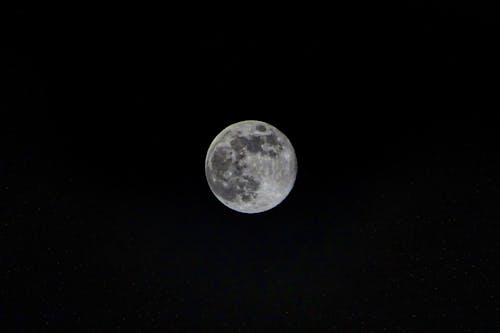 Foto d'estoc gratuïta de cel, fosc, llum de la lluna