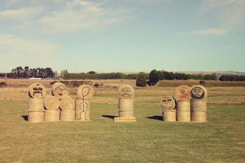 Kostenloses Stock Foto zu außerorts, feld, gemalt