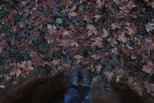 Person Standing on Autumn Leaves