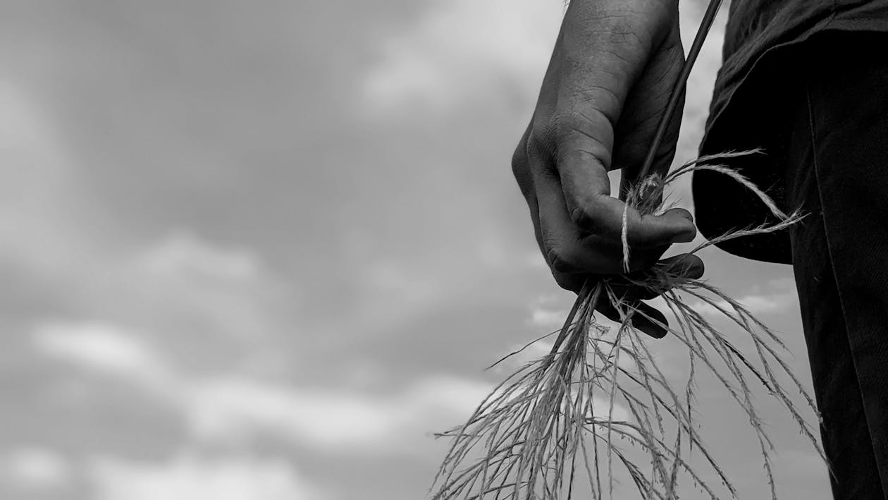 Black and White Photography of a Hand Holding a Twig