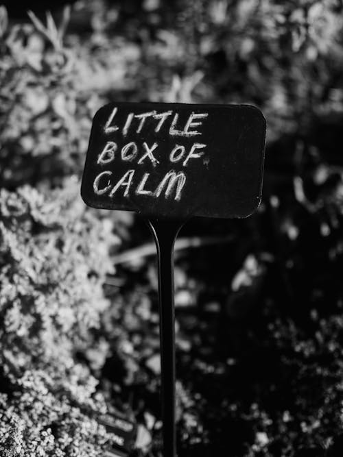 A black and white sign that says little box of calm