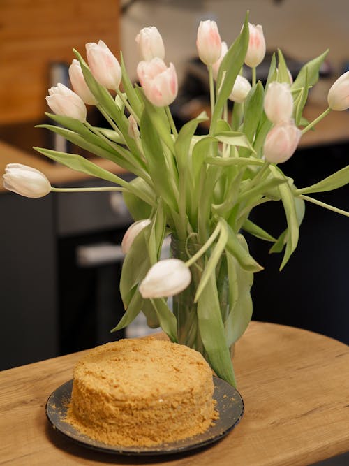 Základová fotografie zdarma na téma bílé tulipány, dort, jídlo