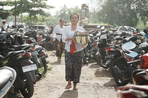 Безкоштовне стокове фото на тему «В єтнамки, жінка, коробка»