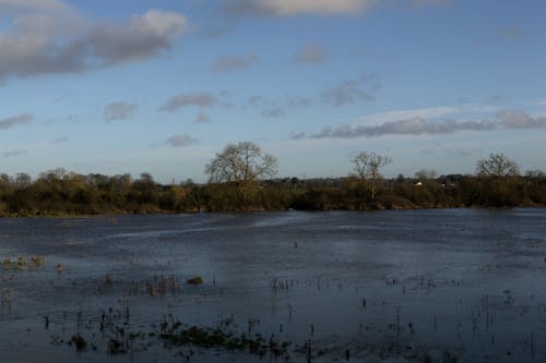 A flooded field.