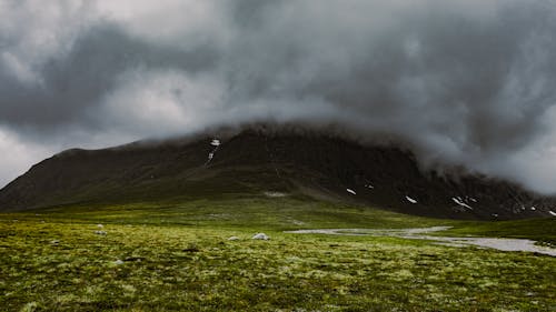 Základová fotografie zdarma na téma green picture, norge, panoráma