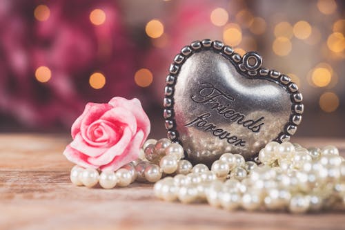 A heart shaped silver necklace with pearls and a pink rose