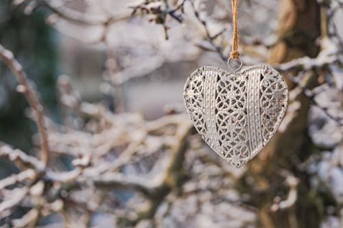 A silver heart hanging from a tree branch