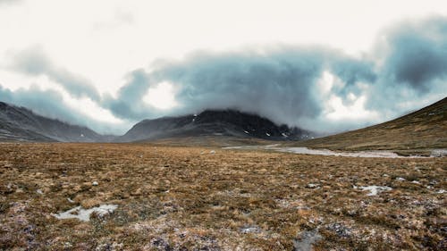 Základová fotografie zdarma na téma green picture, kámen, norge