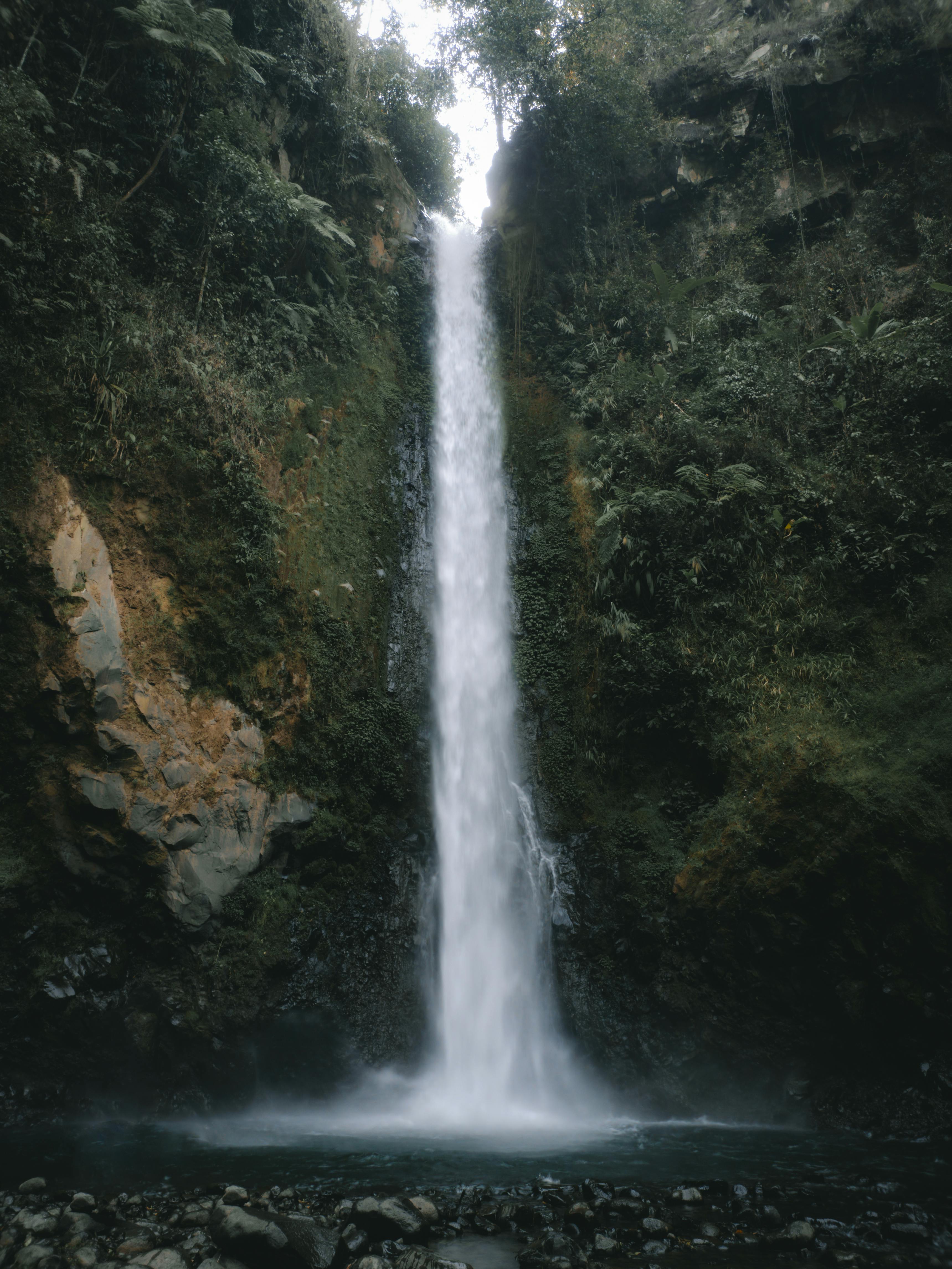 A breathtaking waterfall flows through a lush forest, surrounded by rocks and greenery.