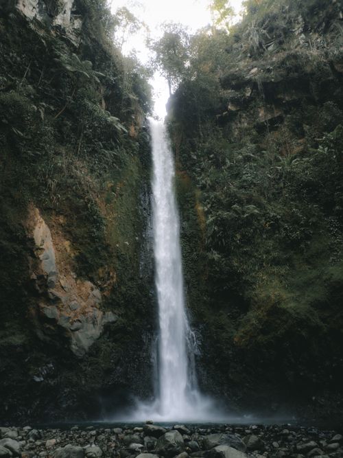 Free Vertical shot of a stunning waterfall cascading amidst a lush forest, showcasing the beauty of nature. Stock Photo
