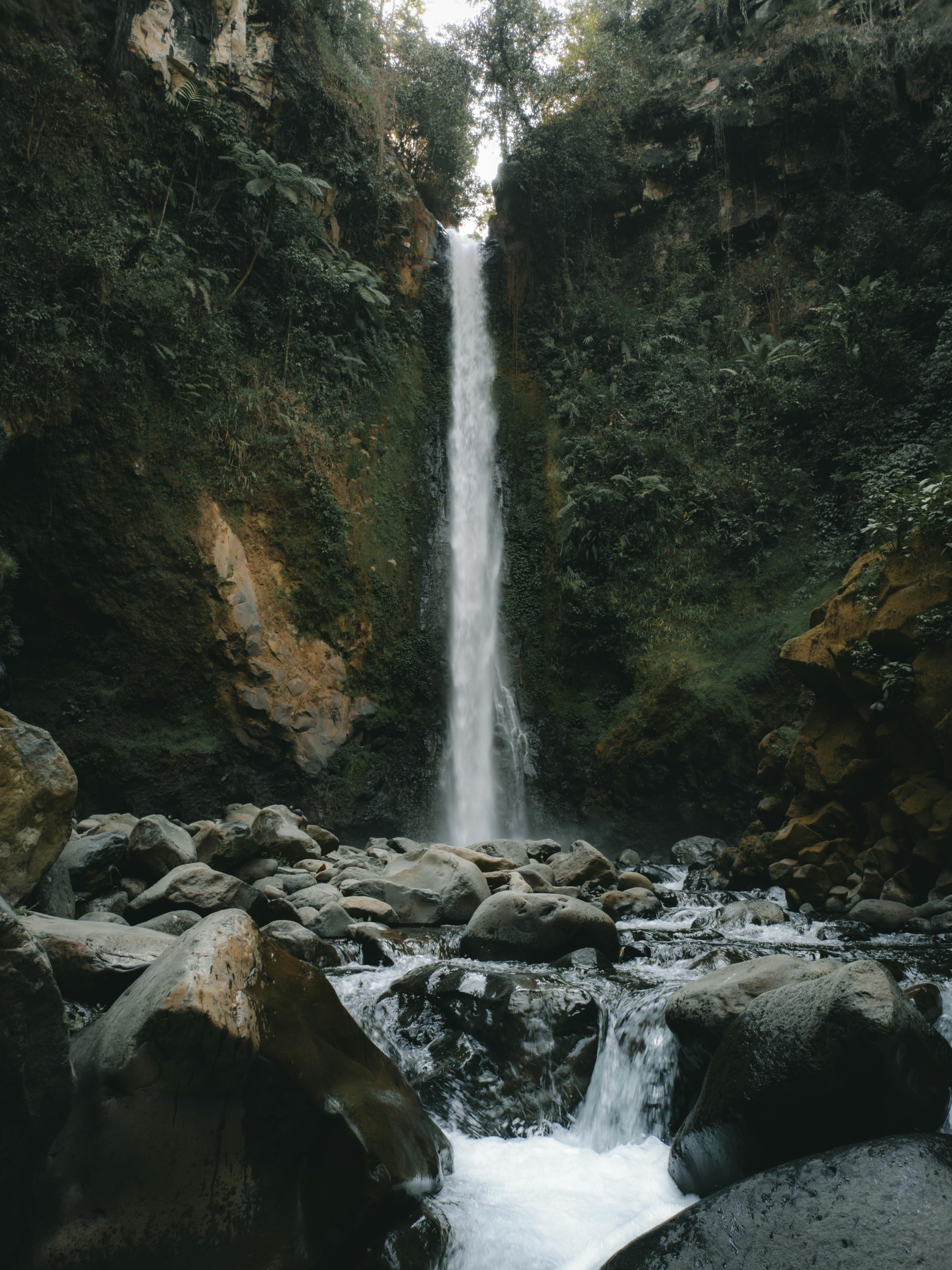 Rocks under Waterfall in Forest · Free Stock Photo